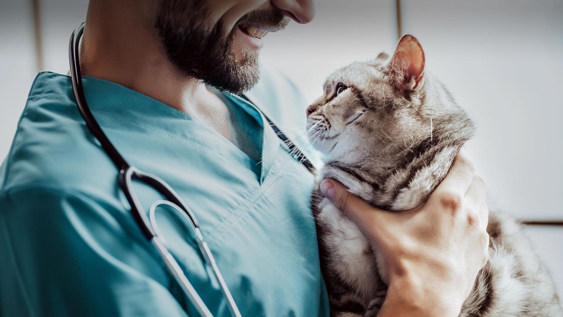 Gülbahçe Veteriner